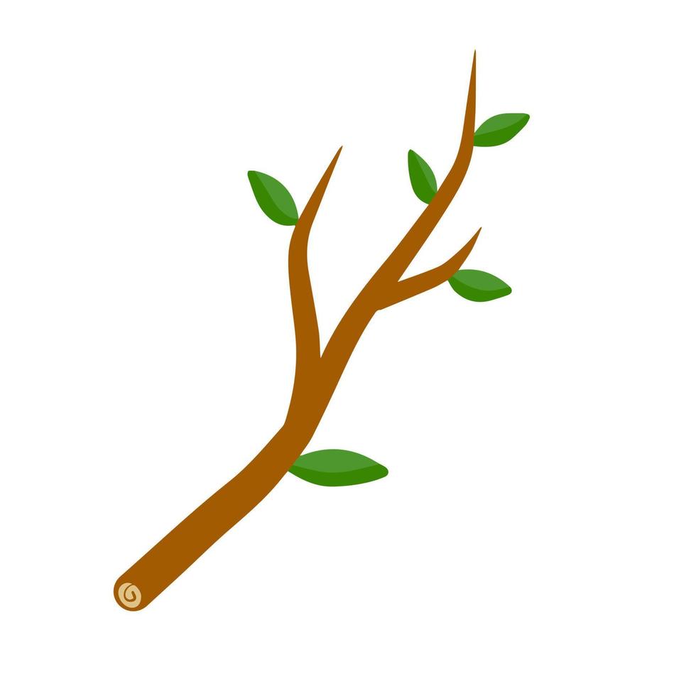 rama de árbol con hoja en la ilustración de fondo blanco. elemento vegetal de madera y naturaleza. ilustración plana simple vector