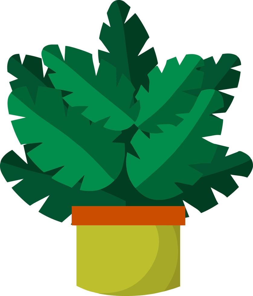 Home plant in pot. Large green leaves. vector