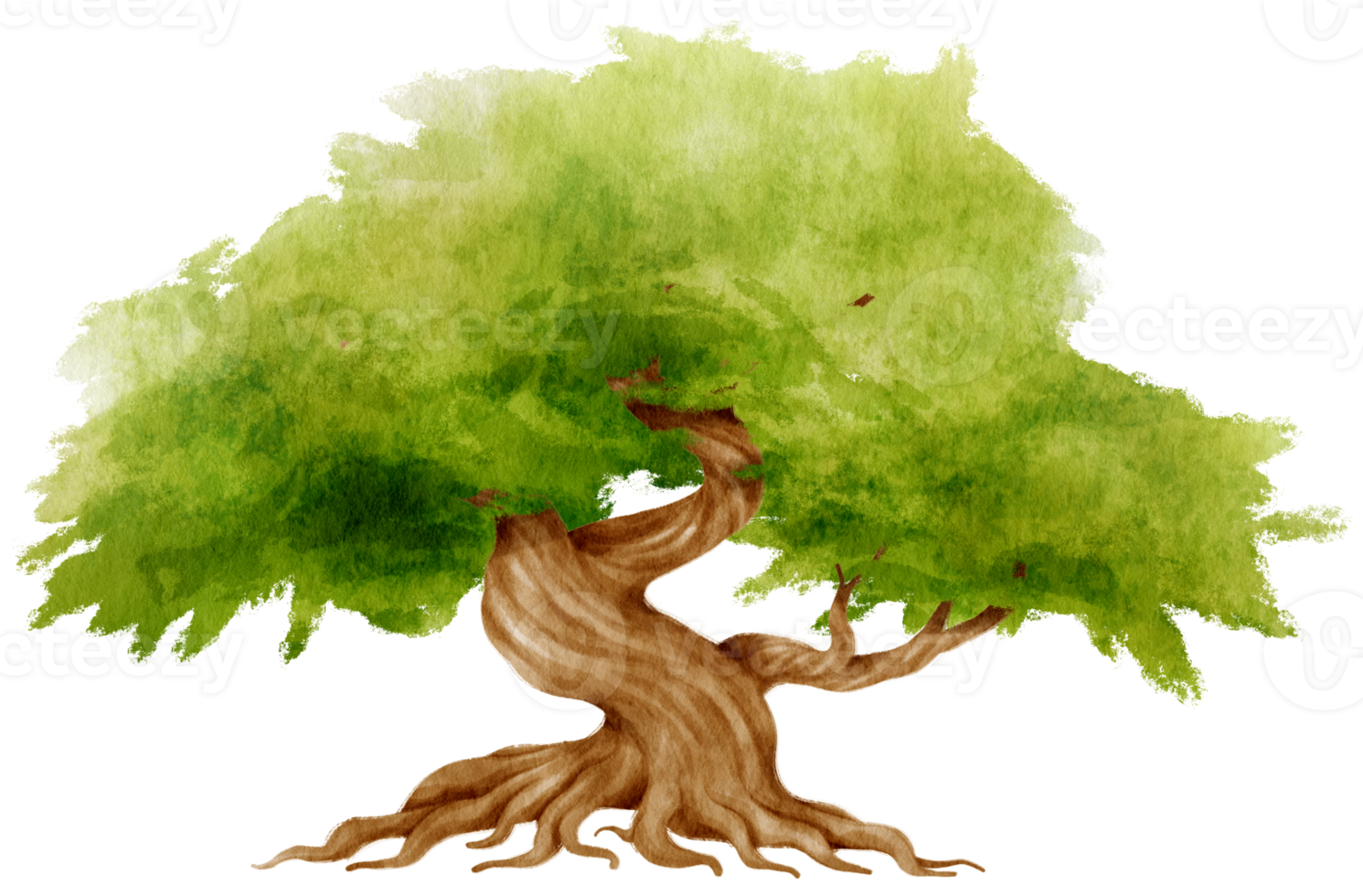 illustrazione dell'acquerello dell'albero per elemento decorativo png