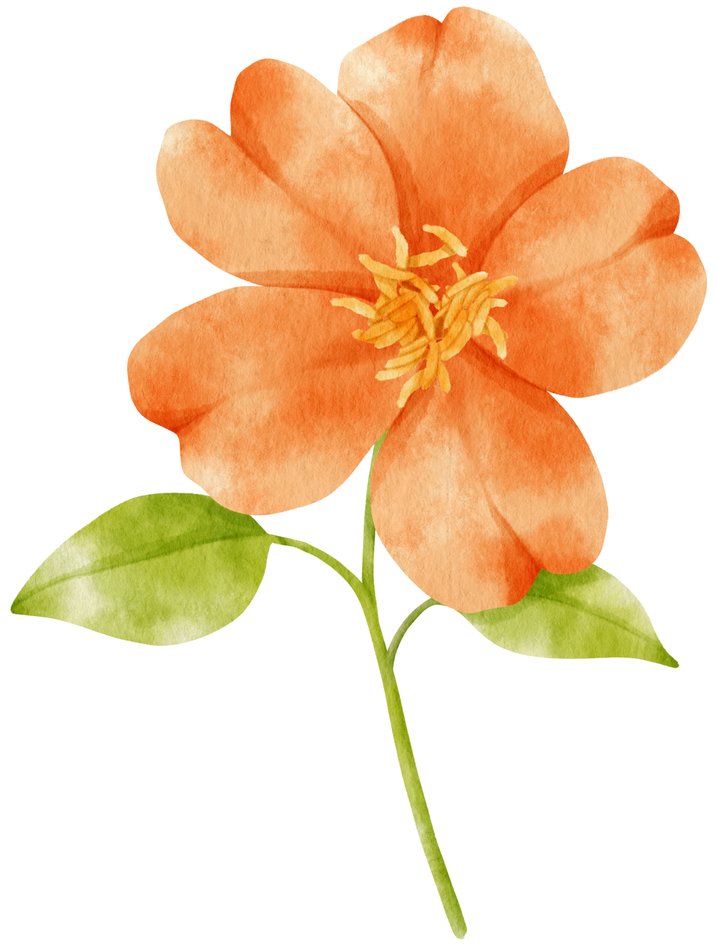 Orange Flower Png