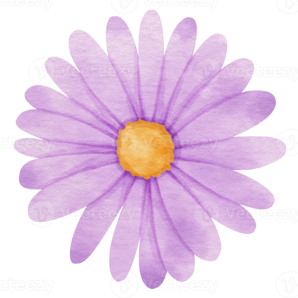 Purple flower watercolor painted for Decorative Element png