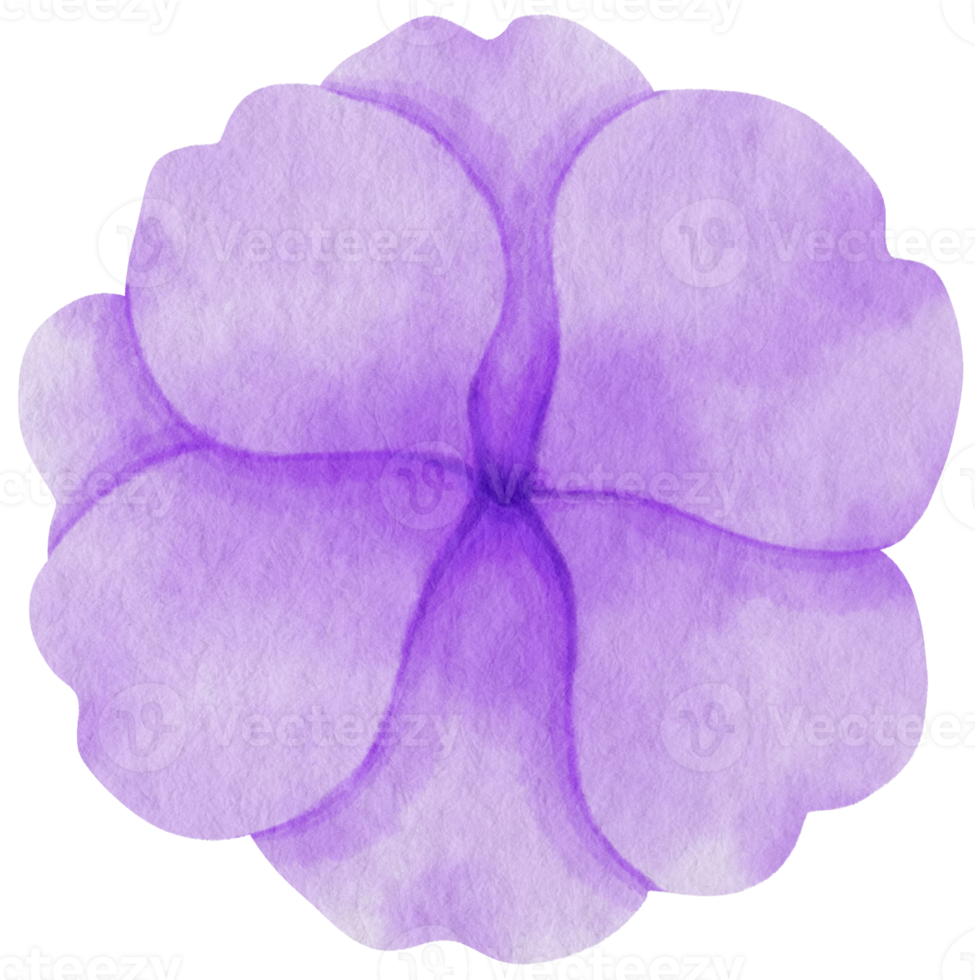 Purple flower watercolor painted for Decorative Element png