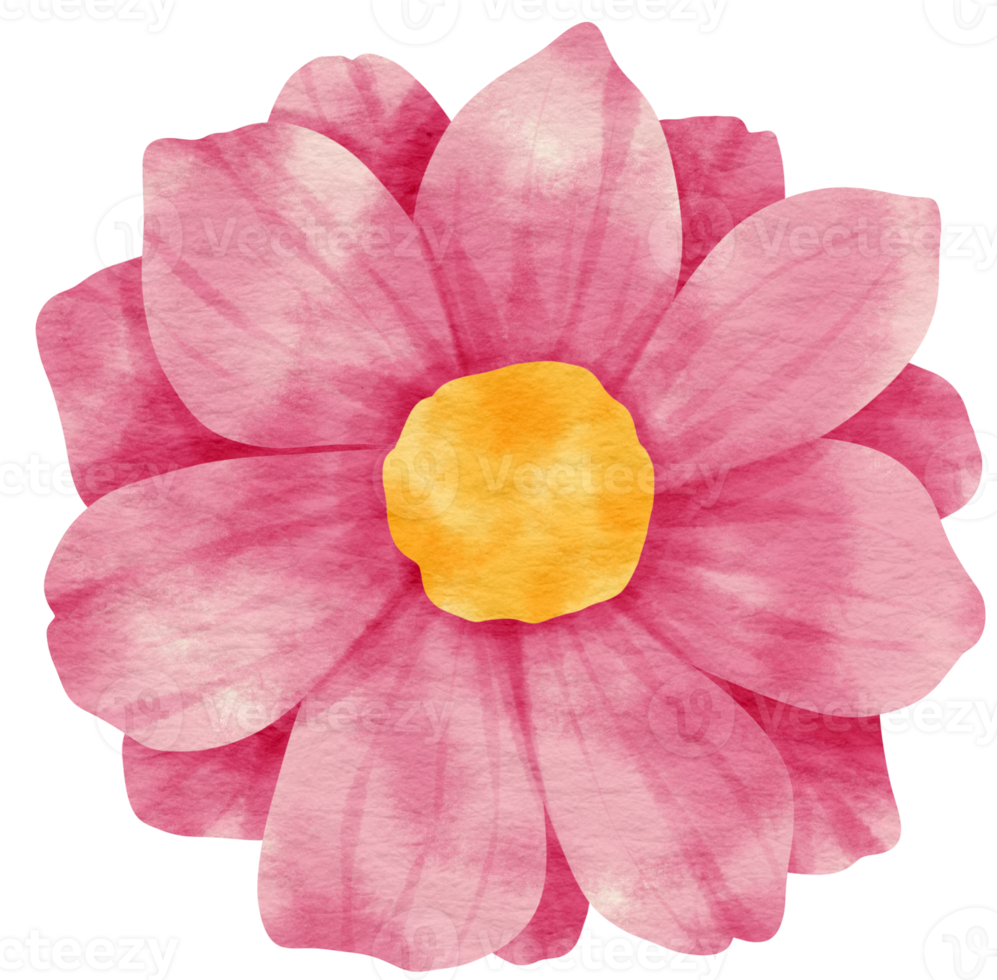 Pink flower watercolor painted for Decorative Element png