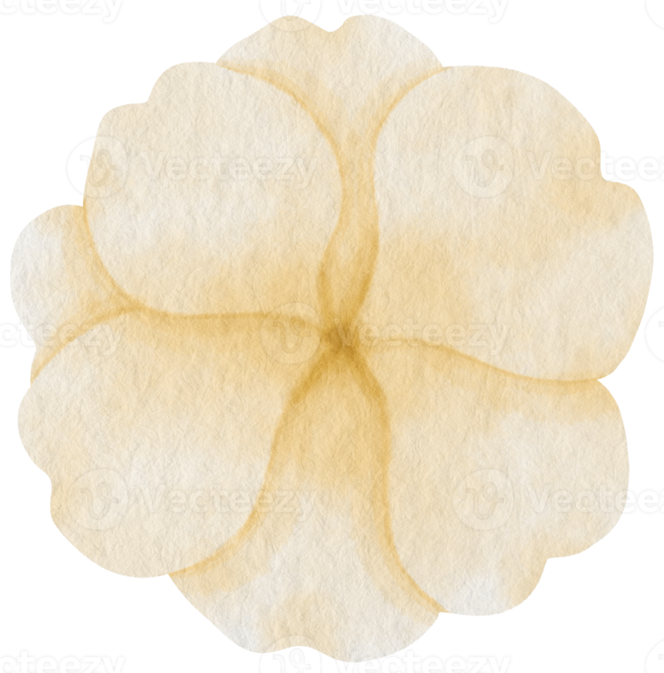 White flower watercolor painted for Decorative Element png