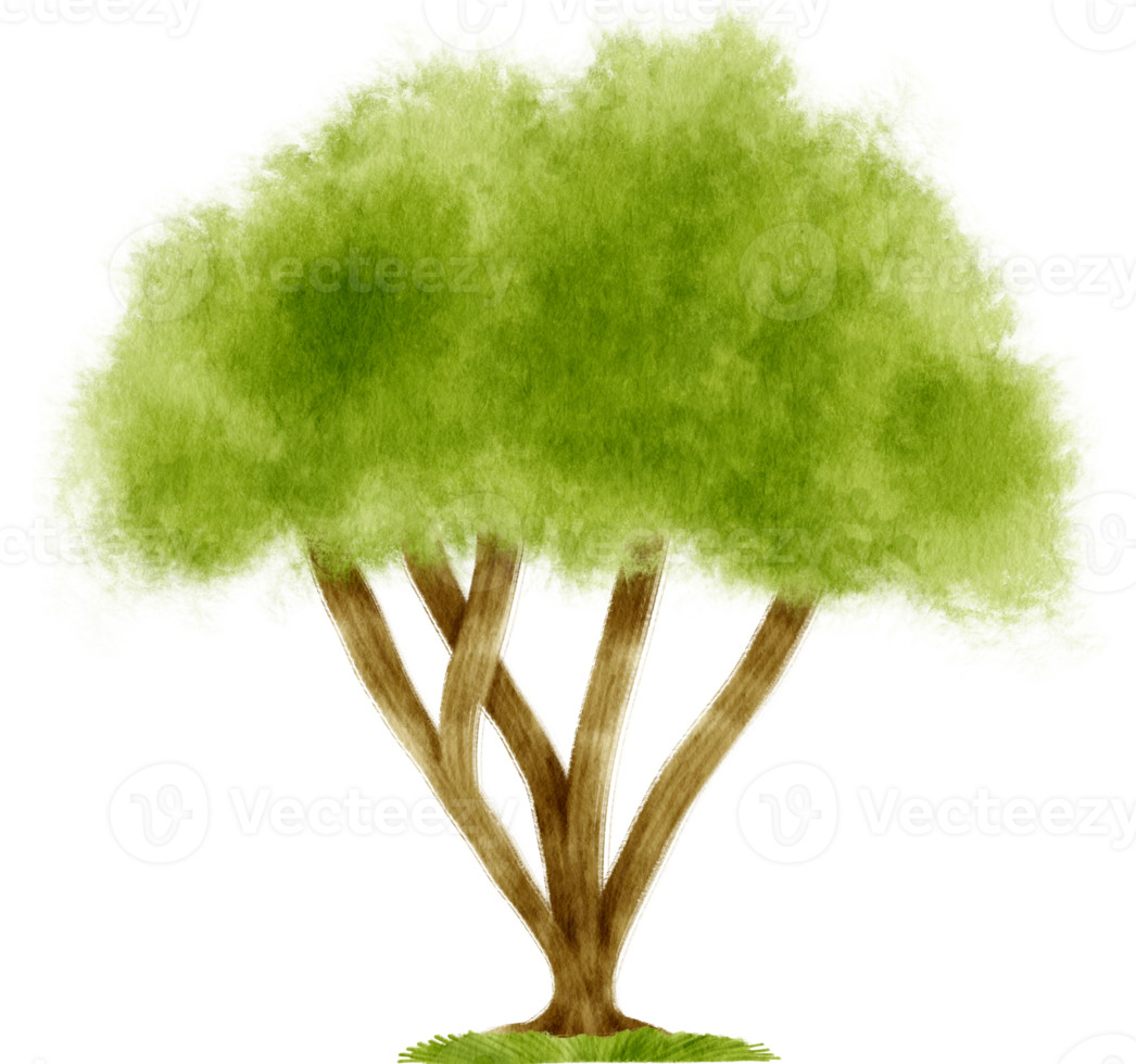 ilustración de acuarela de árbol para elemento decorativo png