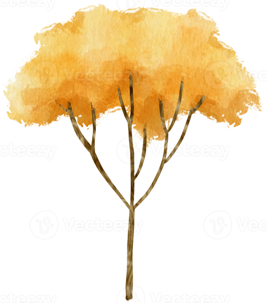 höstträd med gula löv akvarell illustration för dekorativt element png