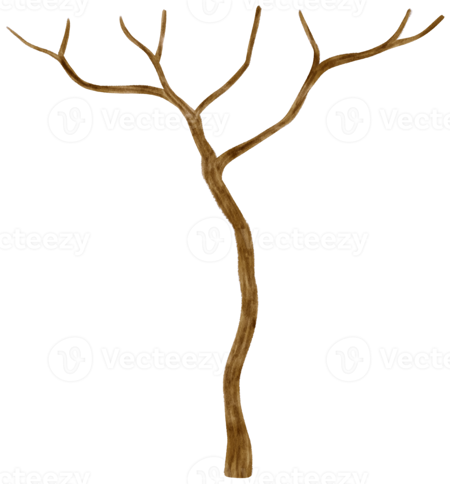 ilustração em aquarela de árvore seca de árvore morta sem folhas para elemento decorativo png