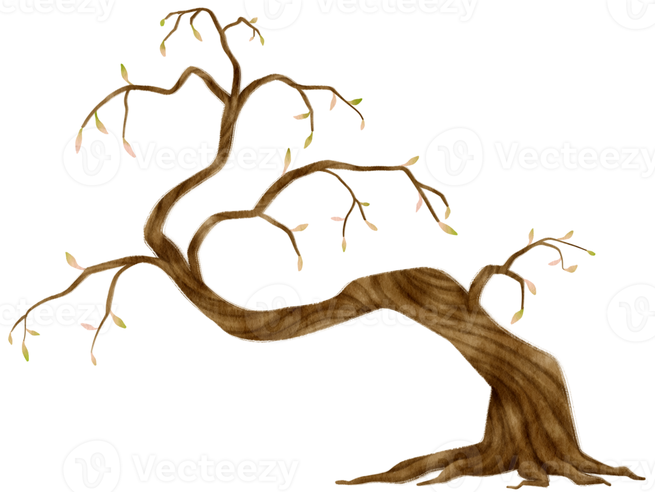 herbstbaum-aquarellillustration für dekoratives element png