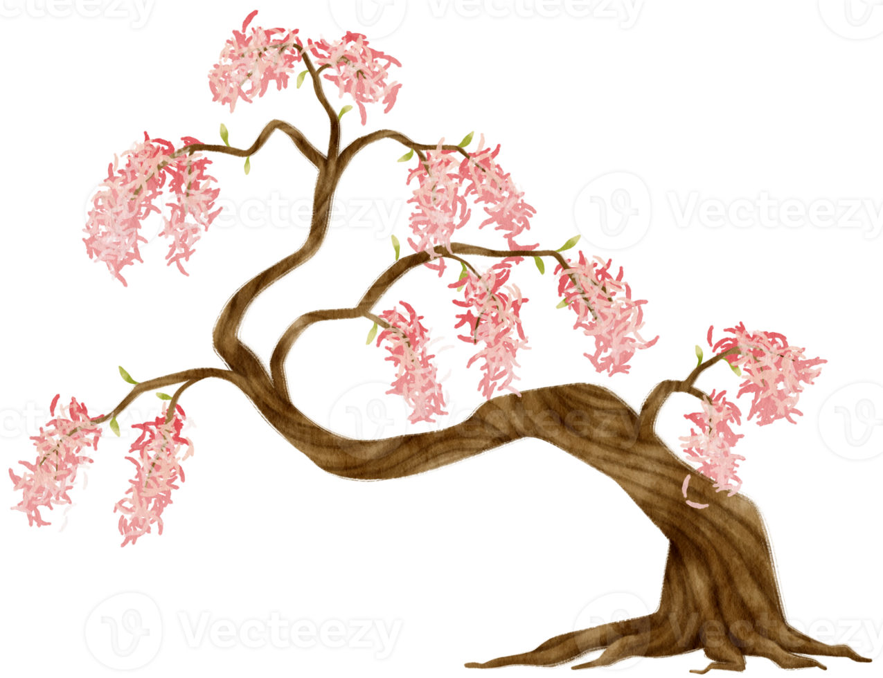 albero autunnale con fiori rosa acquerello illustrazione per elemento decorativo png