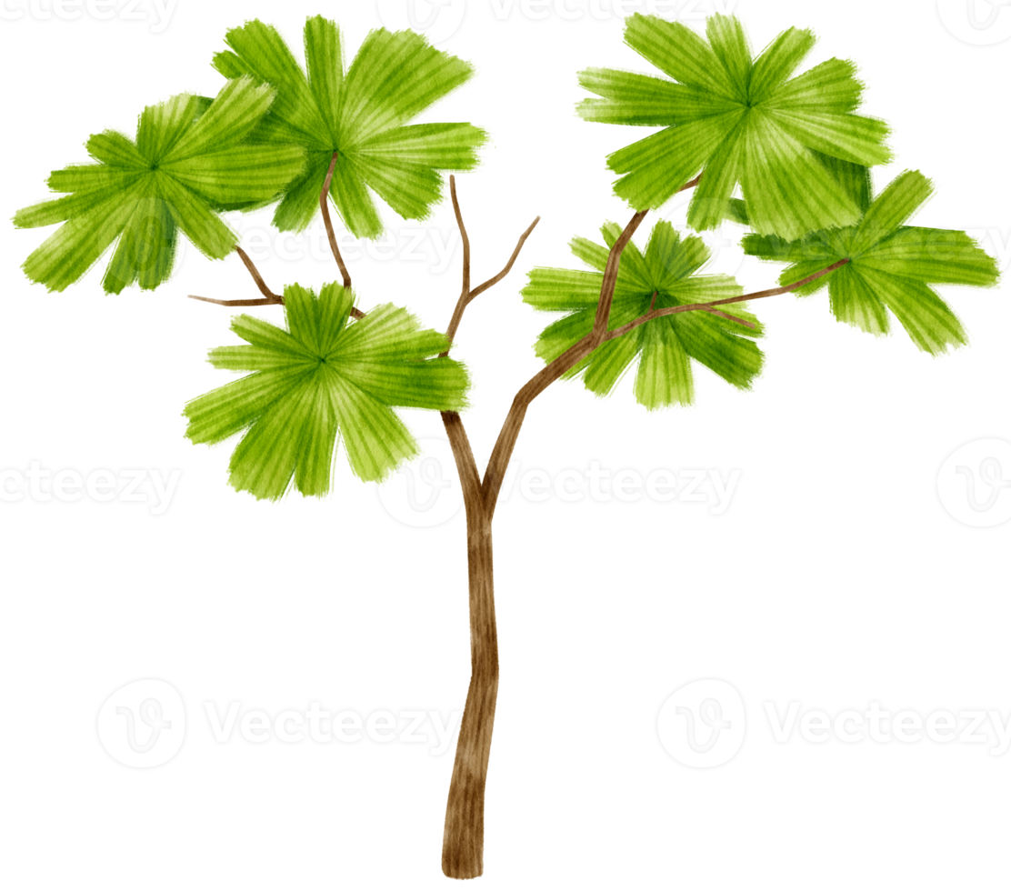 träd akvarell illustration för dekorativa element png