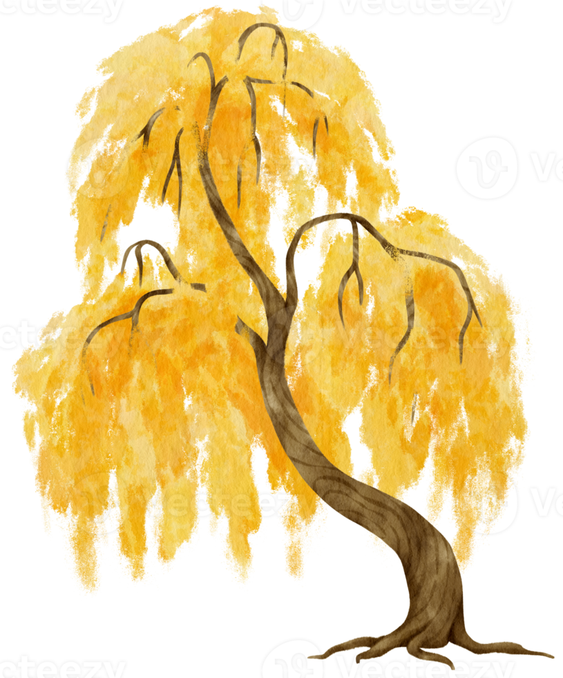 Autumn Tree with Yellow leaves watercolor illustration for Decorative Element png