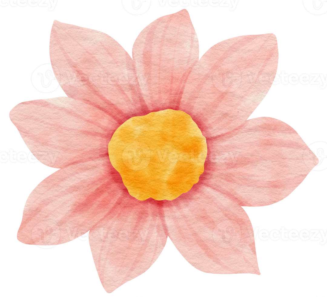 Pink flower watercolor painted for Decorative Element png