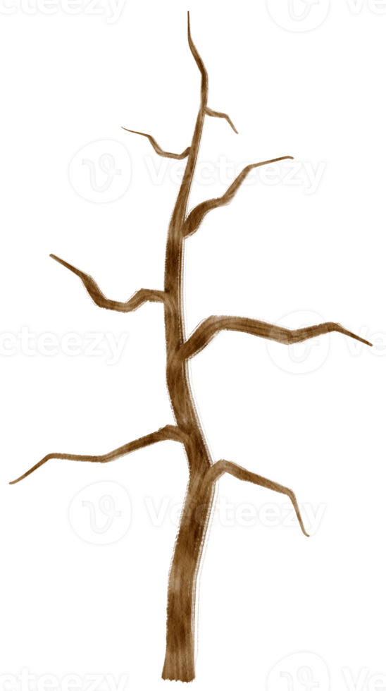 Blattloser toter Baum trockene Baumaquarellillustration für dekoratives Element png