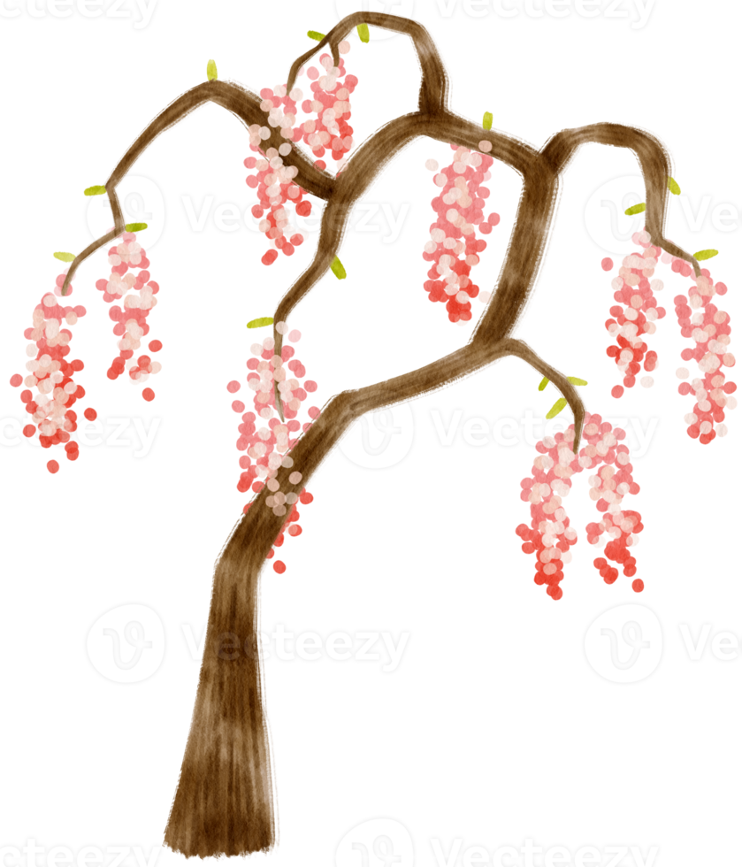 Autumn Tree with pink flowers watercolor illustration for Decorative Element png
