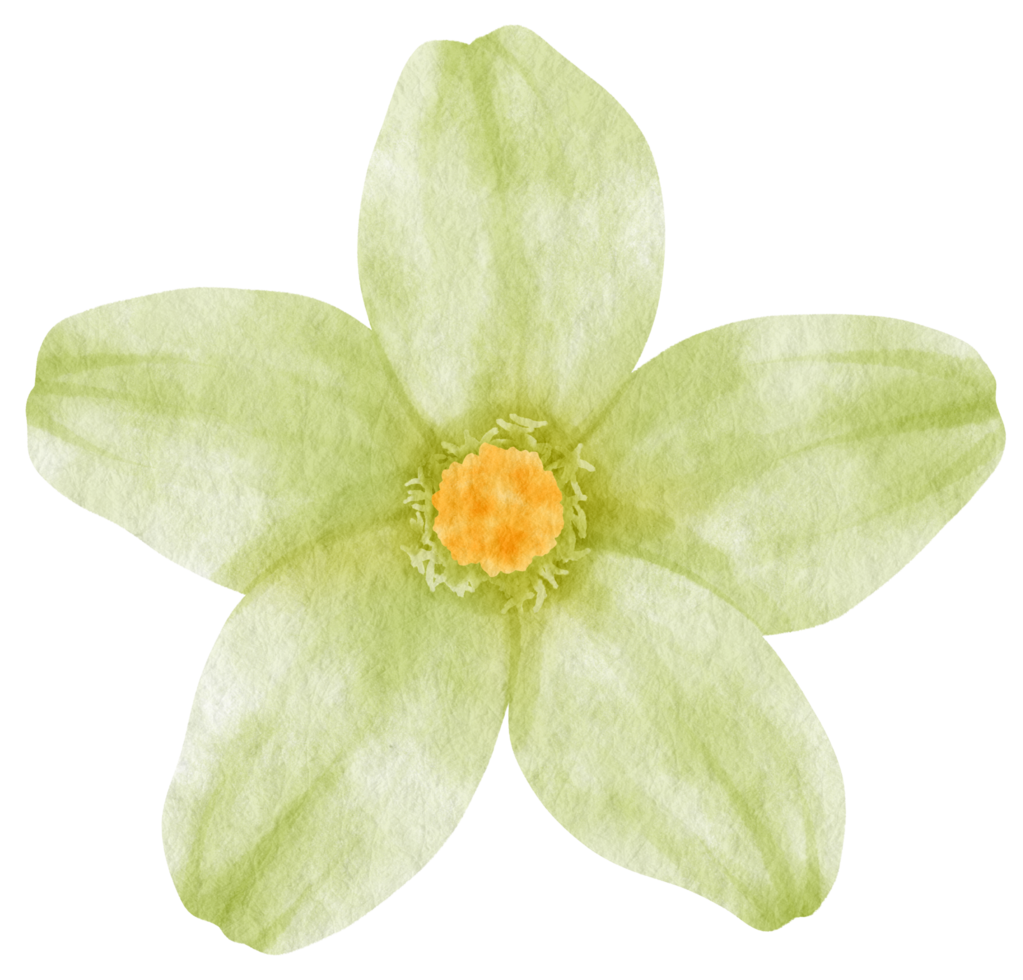 Green flower watercolor painted for Decorative Element png