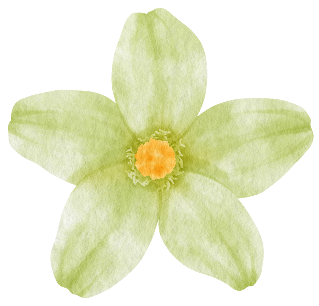 groene bloem aquarel geschilderd voor decoratief element png