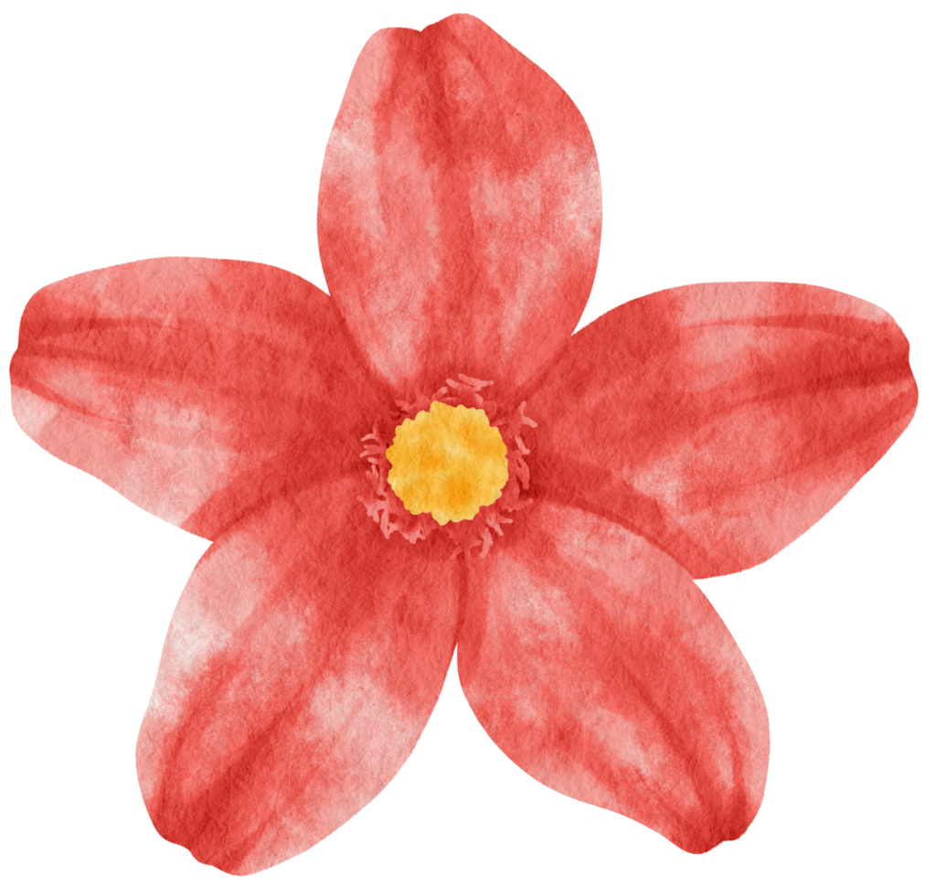 Red flower watercolor painted for Decorative Element png