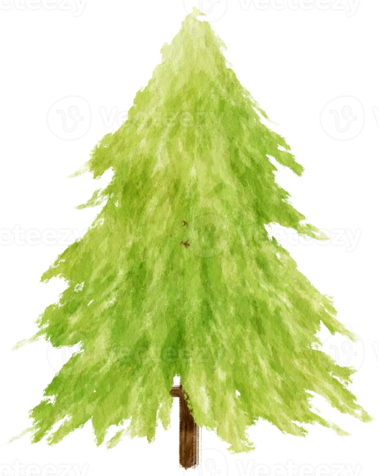Tree watercolor illustration for Decorative Element png