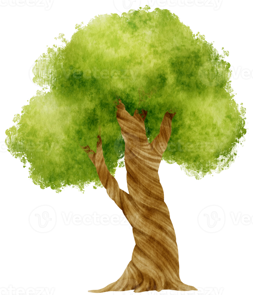 Tree watercolor illustration for Decorative Element png