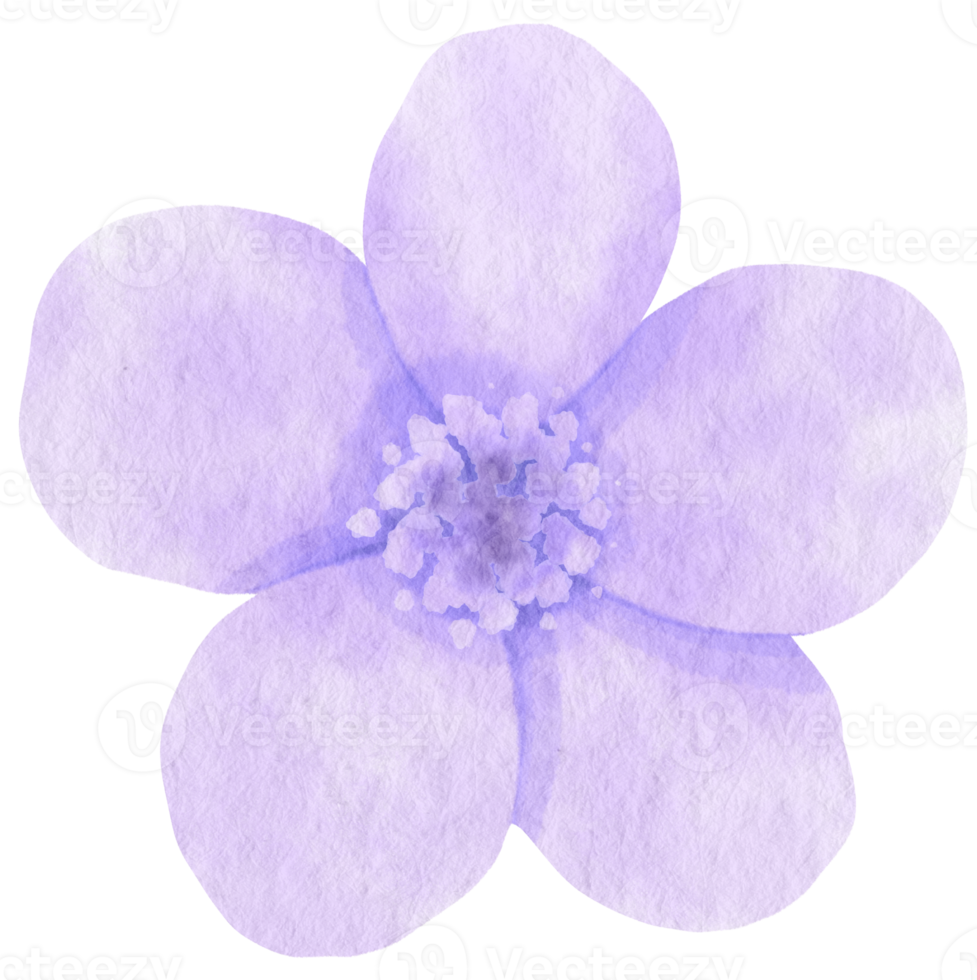 fiore viola dipinto ad acquerello per elemento decorativo png