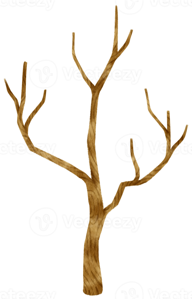 ilustração em aquarela de árvore seca de árvore morta sem folhas para elemento decorativo png