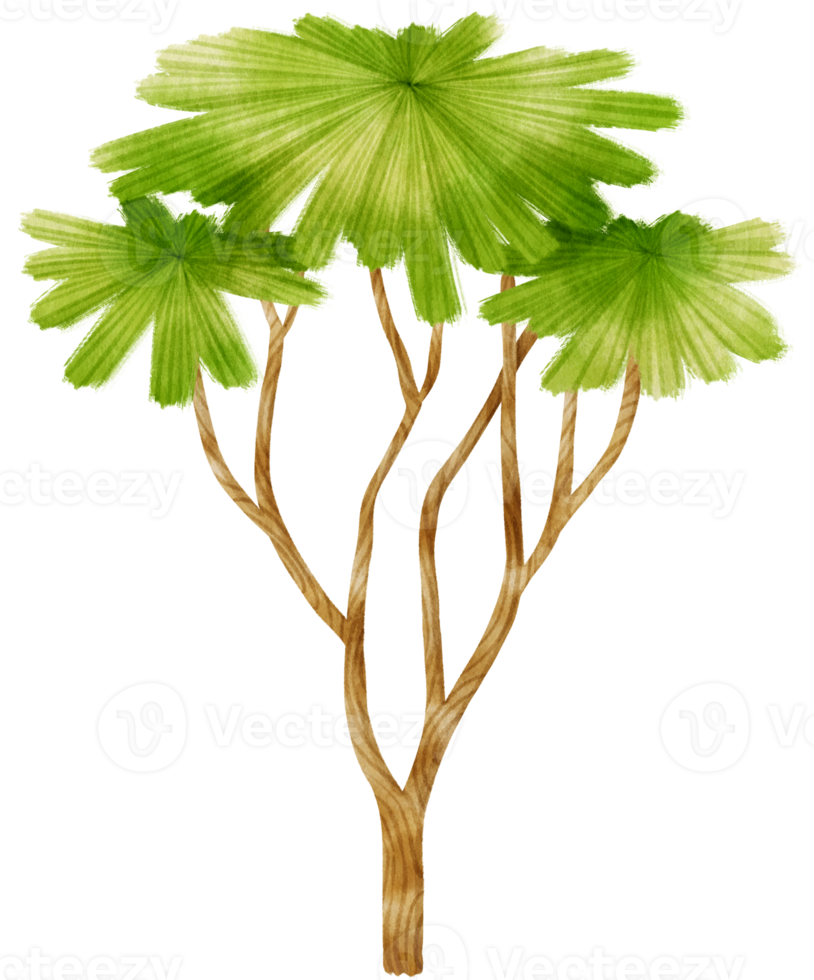 Tree watercolor illustration for Decorative Element png