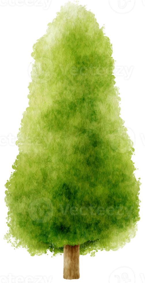 Tree watercolor illustration for Decorative Element png