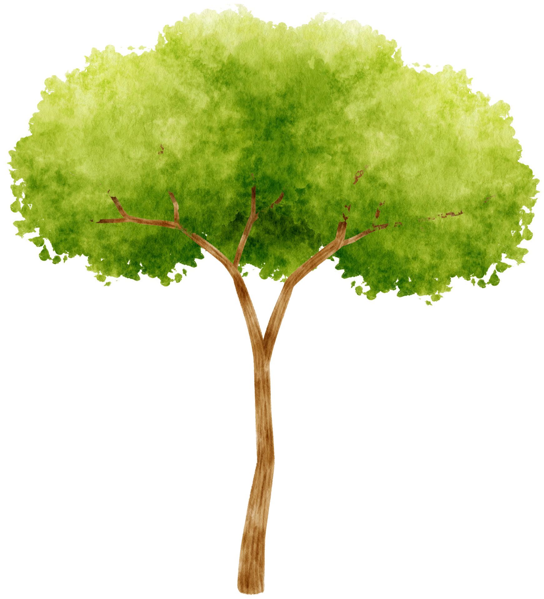 Flat Vector Watercolor Trees (+PNGs), Download AI & PNG