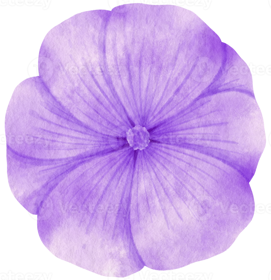 acuarela de flor morada pintada para elemento decorativo png