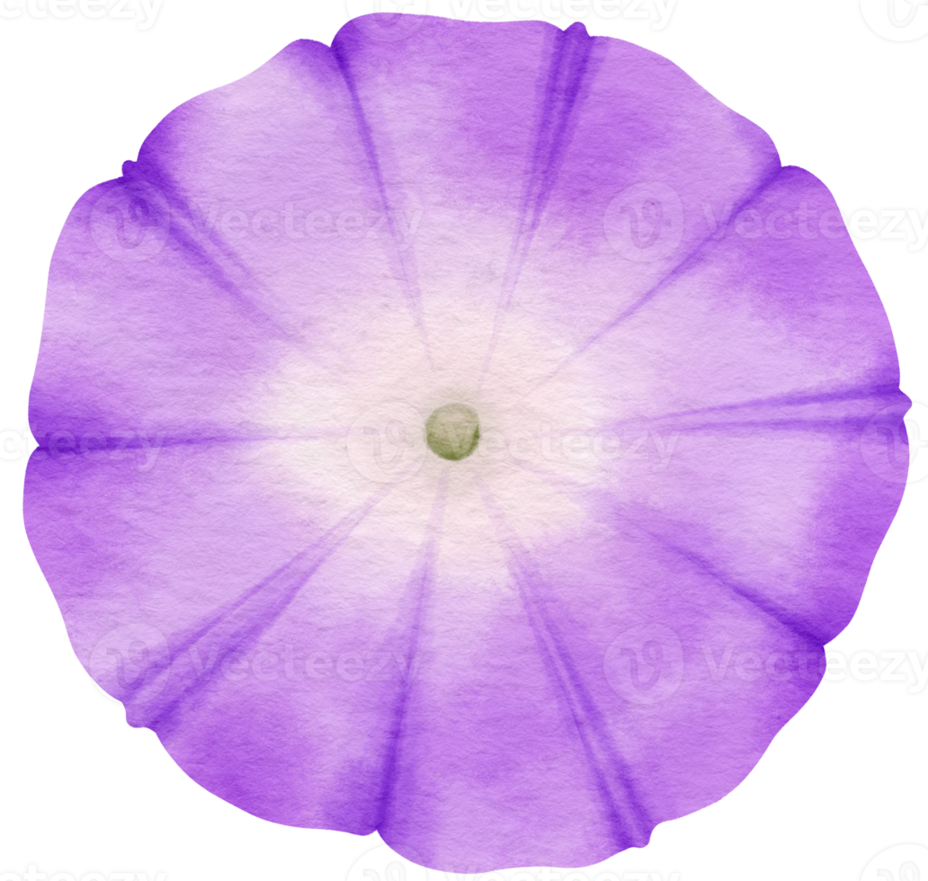 Purple flower watercolor painted for Decorative Element png