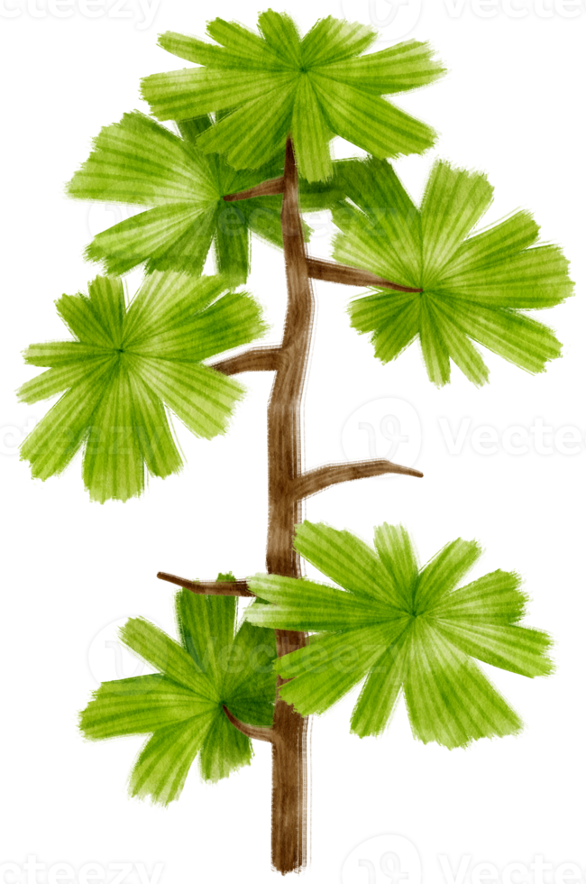 Tree watercolor illustration for Decorative Element png