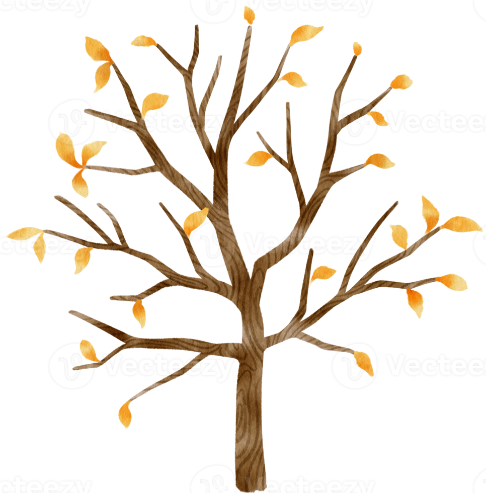 höstträd med gula löv akvarell illustration för dekorativt element png