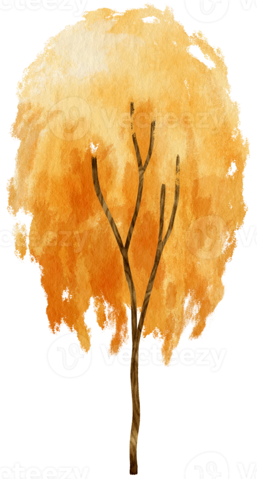 herbstbaum mit gelben blättern aquarellillustration für dekoratives element png