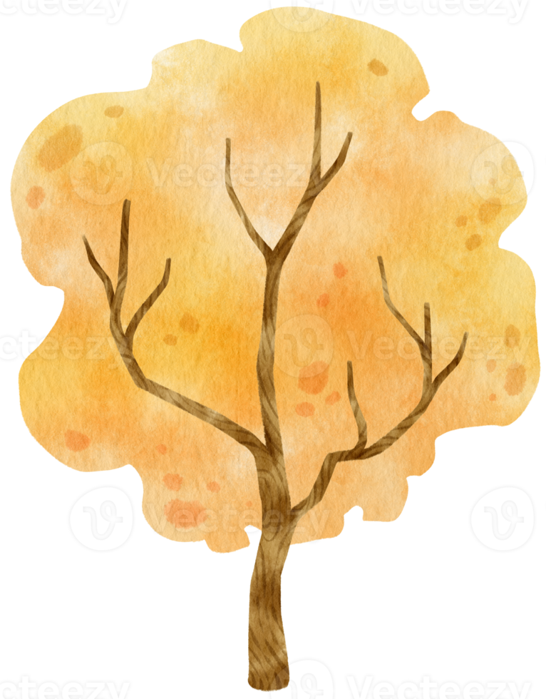 Autumn Tree with Yellow leaves watercolor illustration for Decorative Element png