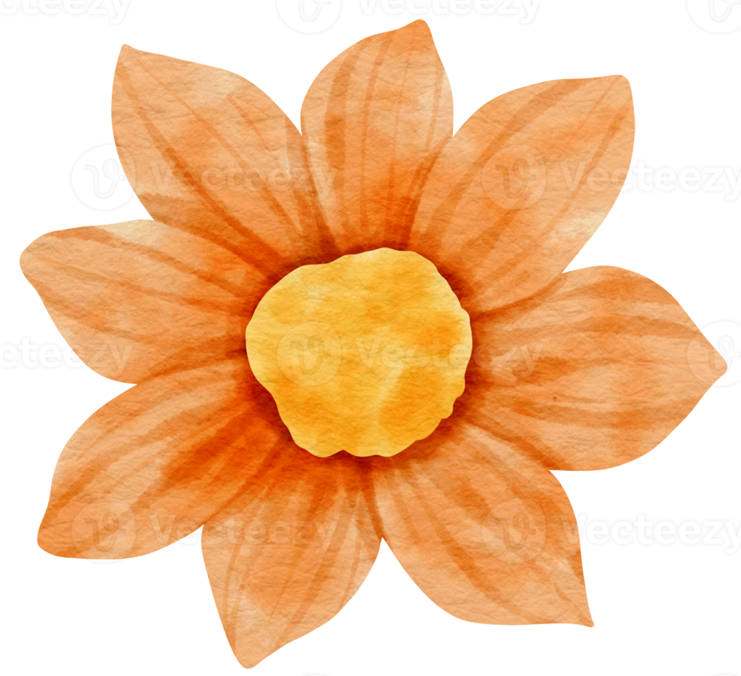 Orange flower watercolor painted for Decorative Element png