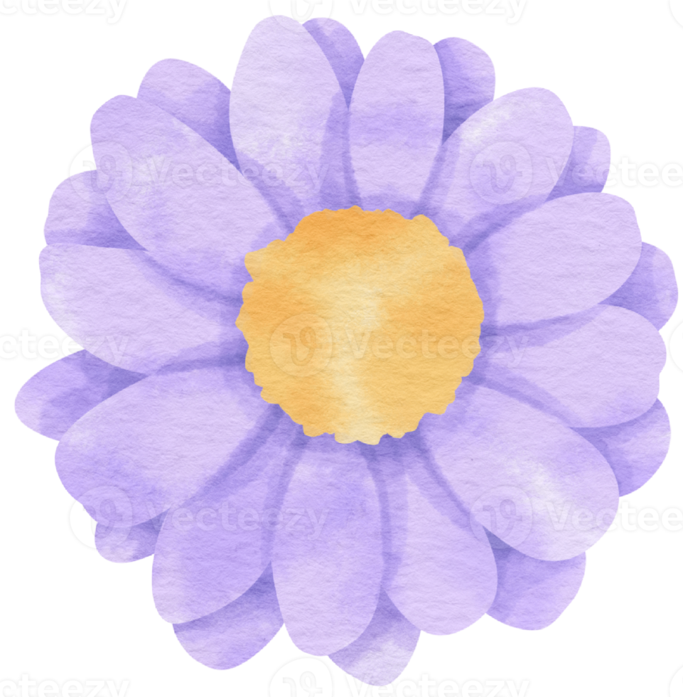 Purple flower watercolor painted for Decorative Element png