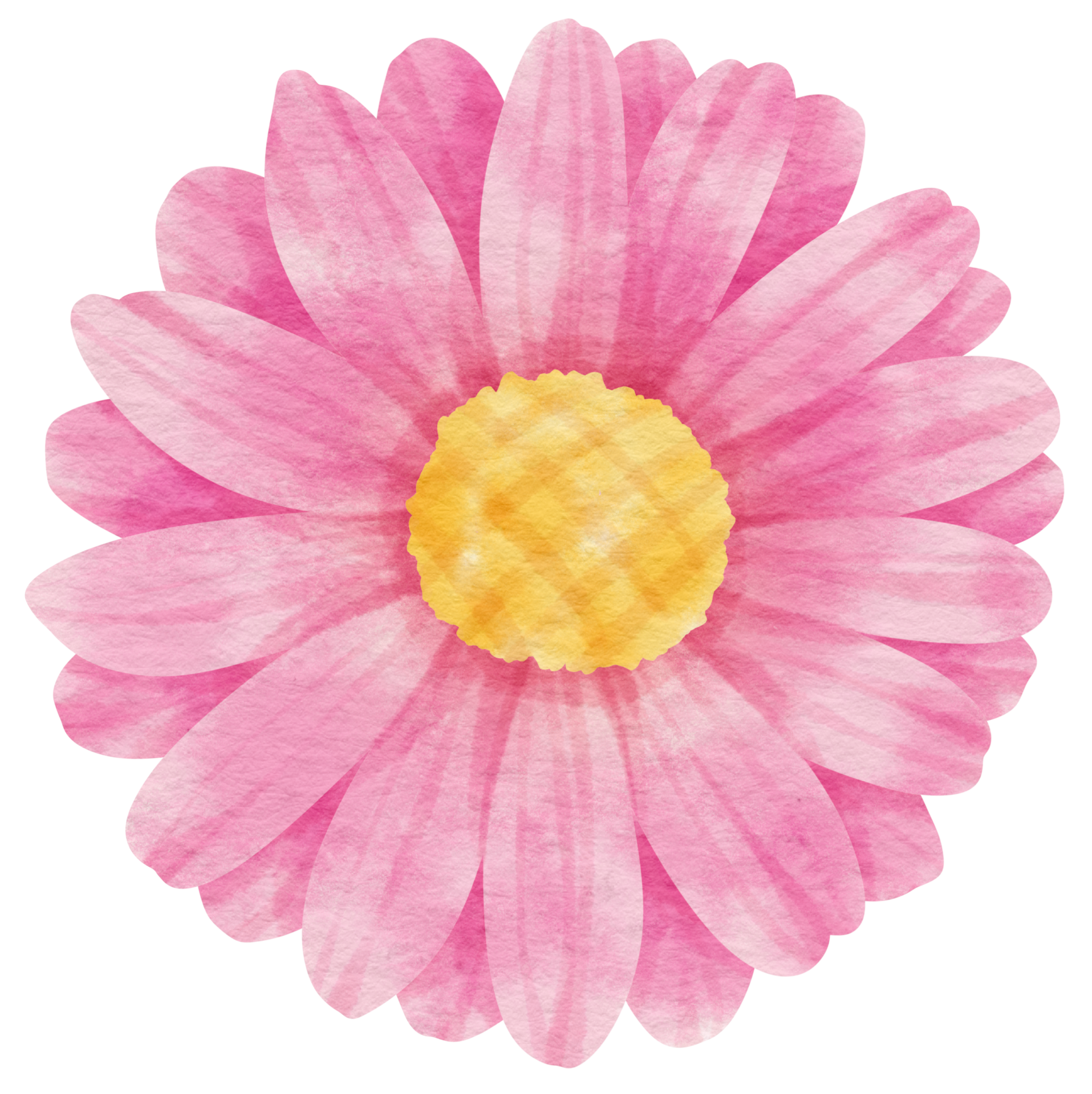 Free Pink flower watercolor painted for Decorative Element 9786725 PNG with  Transparent Background