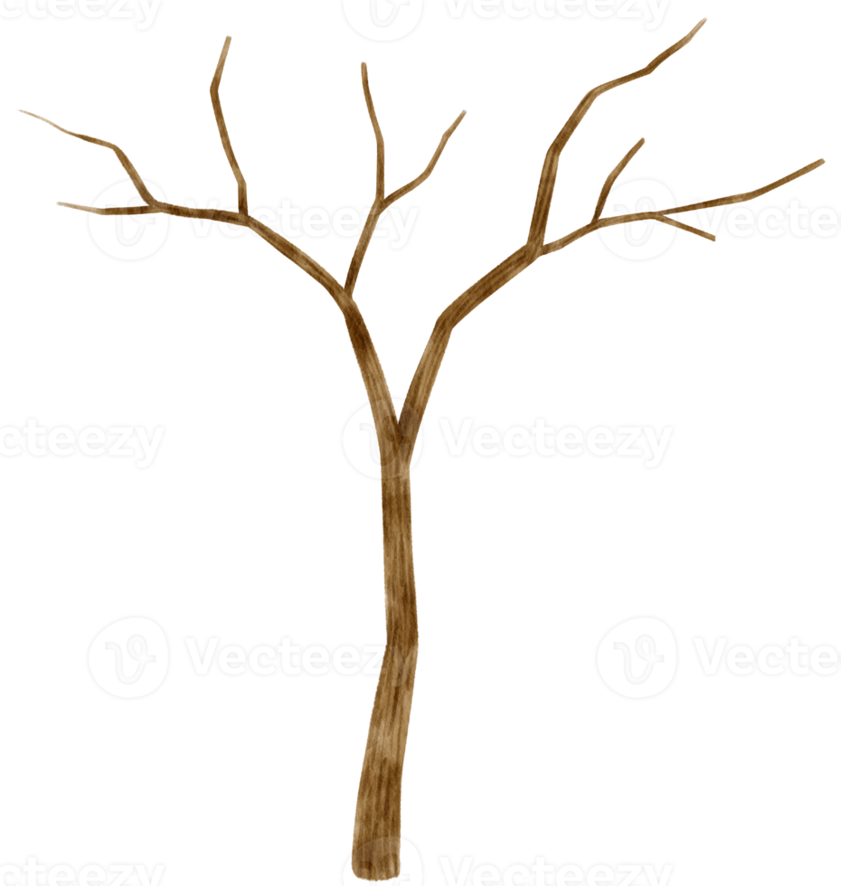 Blattloser toter Baum trockene Baumaquarellillustration für dekoratives Element png