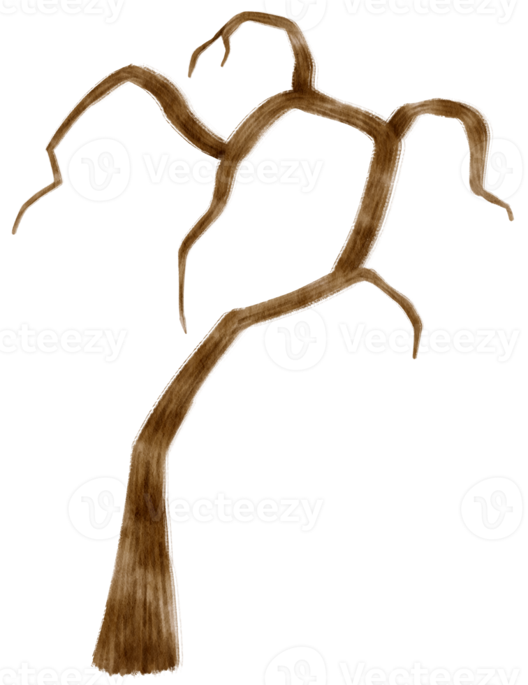 illustrazione dell'acquerello dell'albero secco dell'albero morto senza foglie per elemento decorativo png