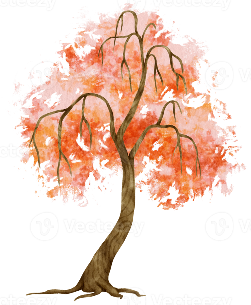 illustrazione dell'acquerello dell'albero di autunno per elemento decorativo png