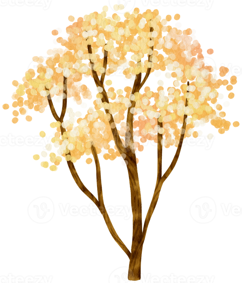 arbre d'automne avec illustration aquarelle de fleurs jaunes pour élément décoratif png