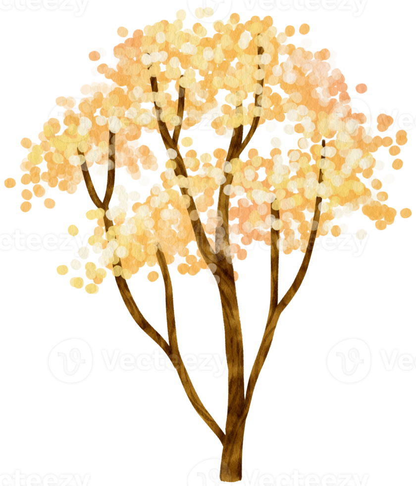 árbol de otoño con flores amarillas ilustración acuarela para elemento decorativo png