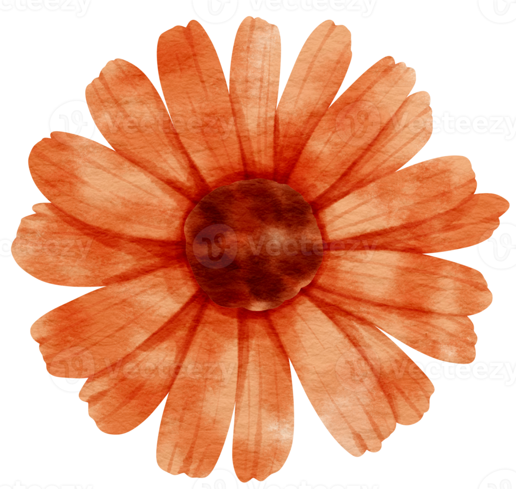 Red flower watercolor painted for Decorative Element png