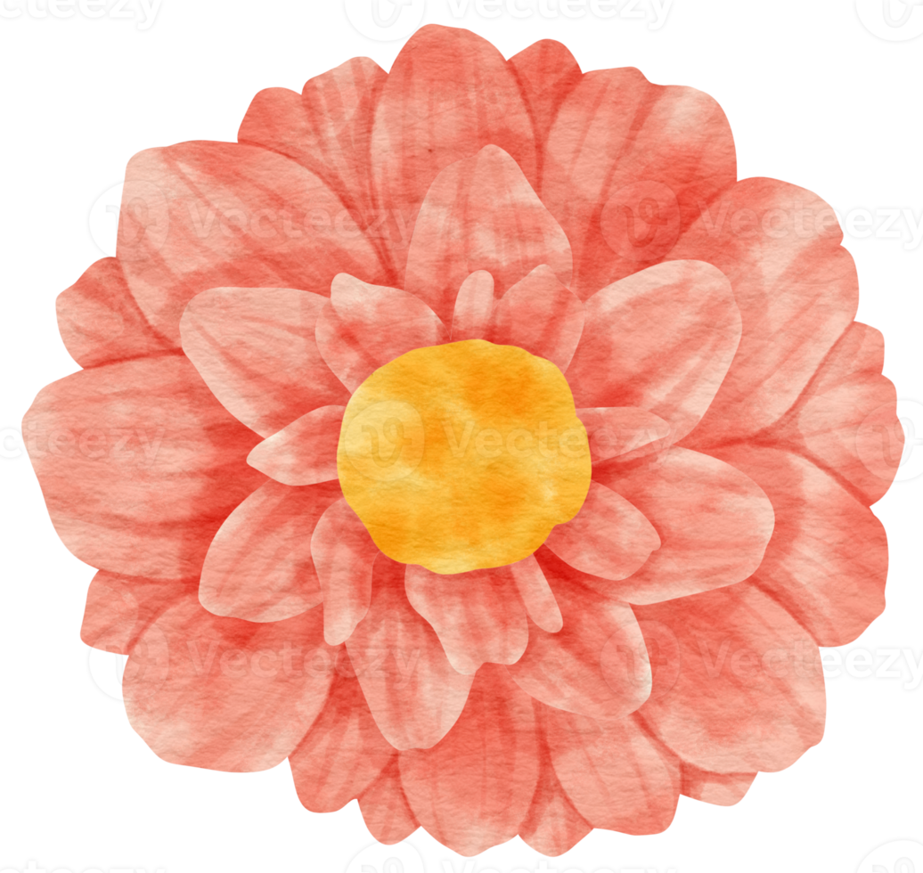 Pink flower watercolor painted for Decorative Element png