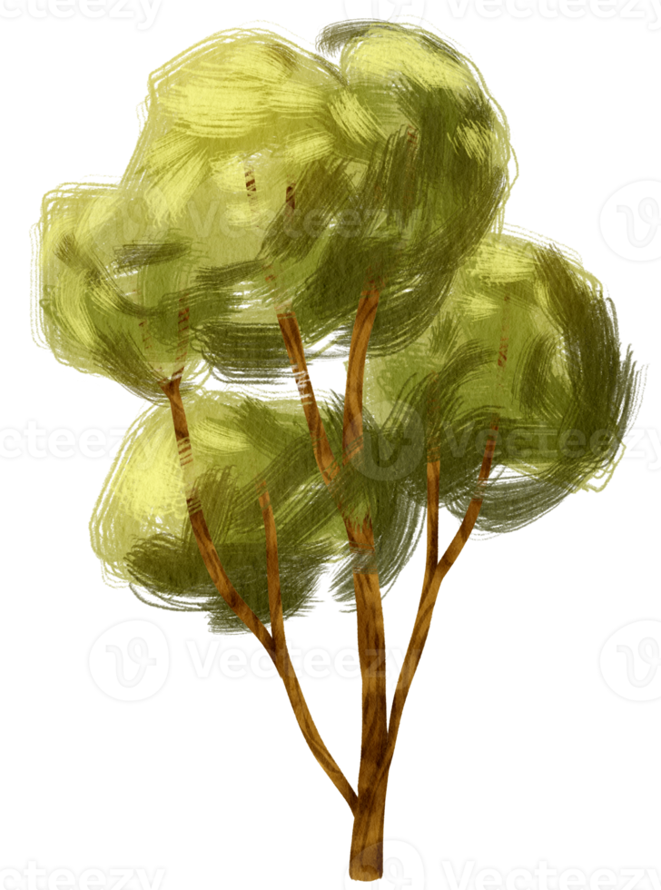 Tree watercolor illustration for Decorative Element png