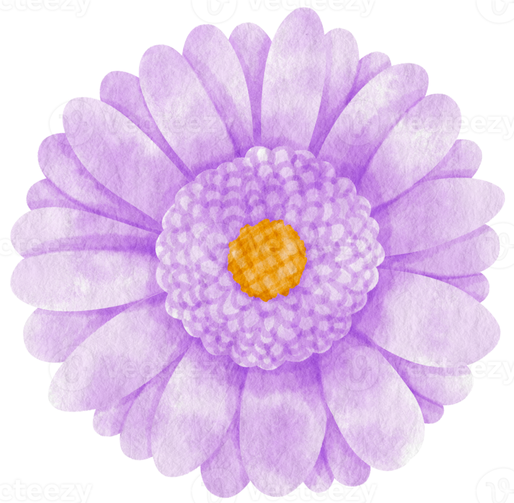 acuarela de flor morada pintada para elemento decorativo png