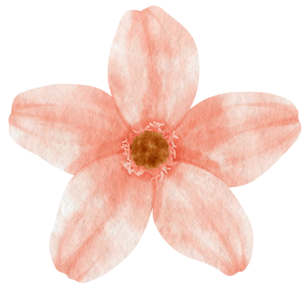 fiore rosa dipinto ad acquerello per elemento decorativo png