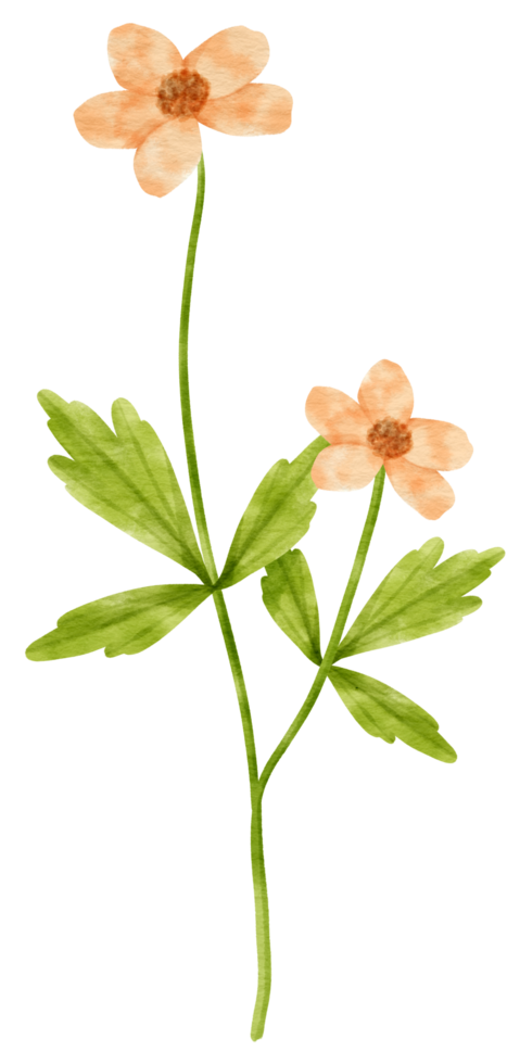 zweig der orangefarbenen blütenblüte mit blättern aquarellstil für dekoratives element png