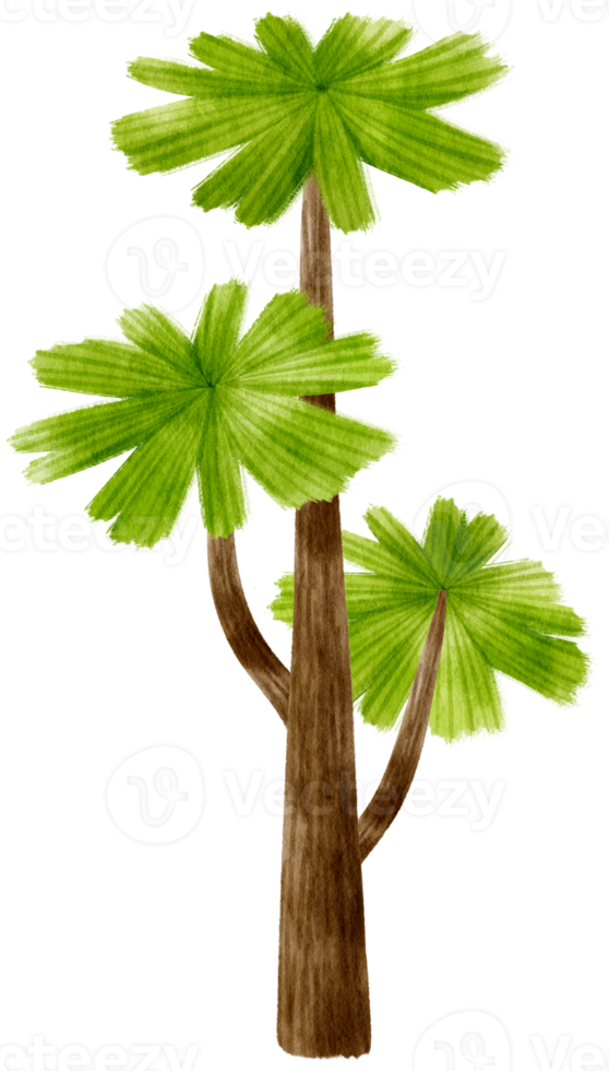 Tree watercolor illustration for Decorative Element png
