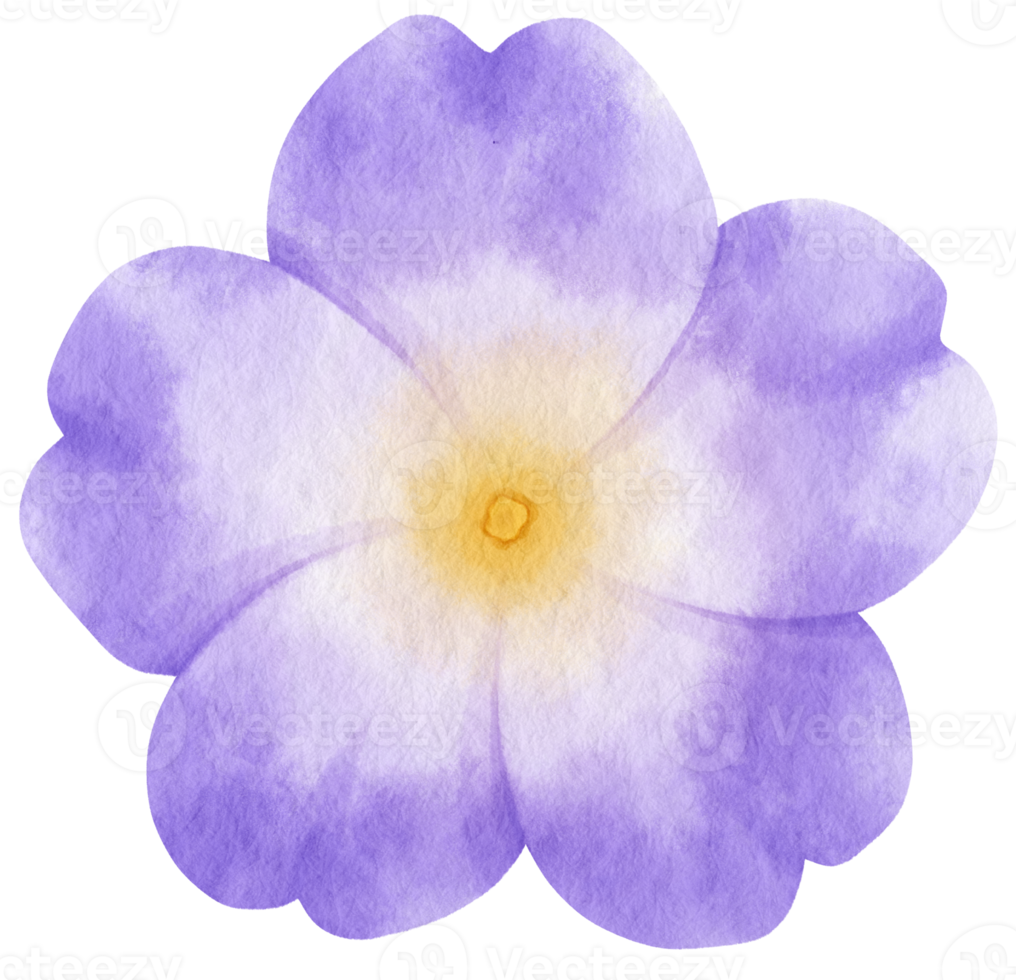 Purple flower watercolor painted for Decorative Element png